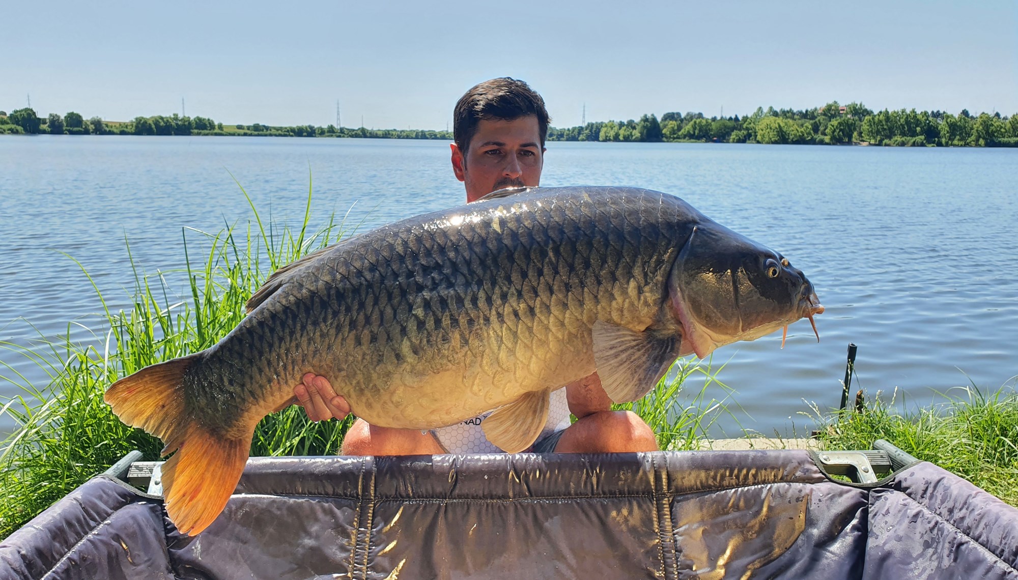 Tancabesti 9 - 12 iulie 2020 - 18 kg